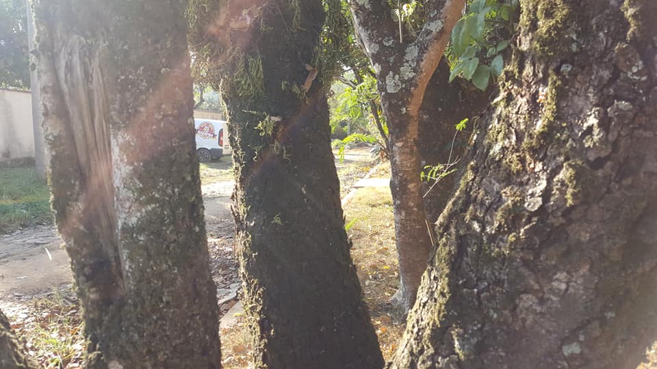 ChoppRampim ChoppRampim