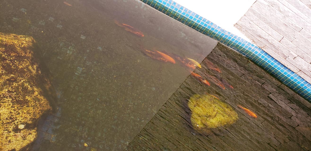 ChoppRampim ChoppRampim