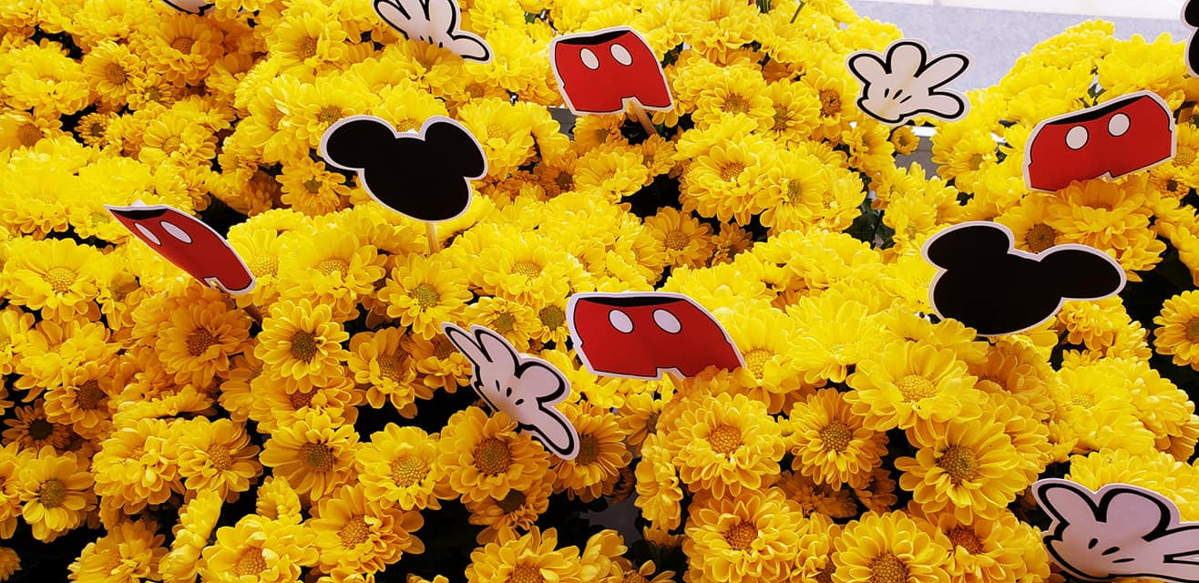 ChoppRampim ChoppRampim