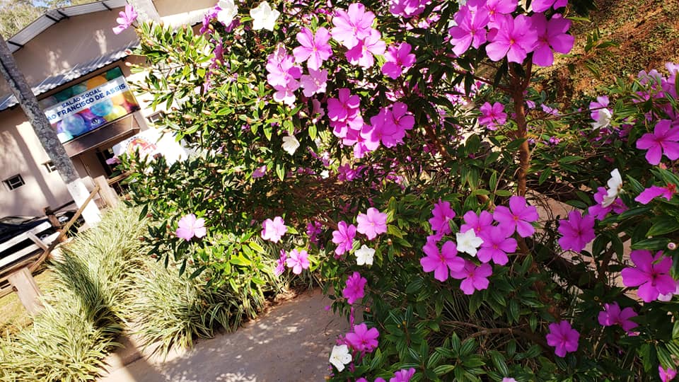 ChoppRampim ChoppRampim