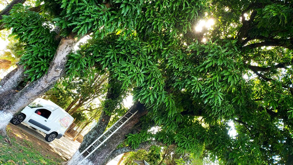 ChoppRampim ChoppRampim