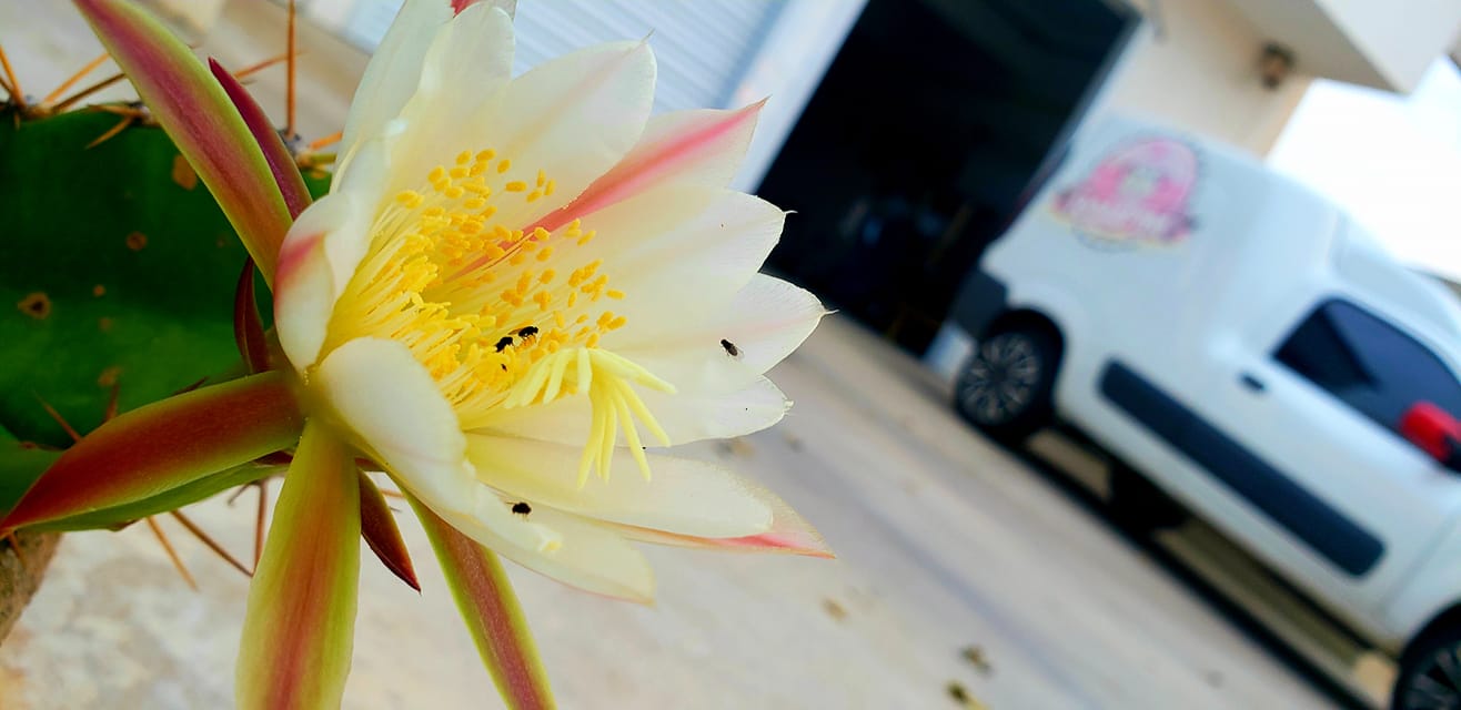 ChoppRampim ChoppRampim