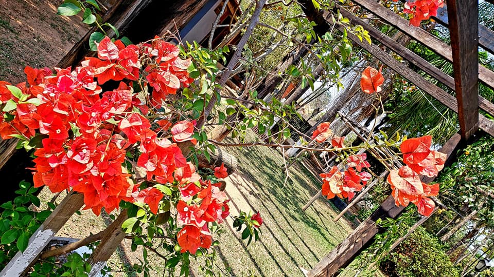 ChoppRampim ChoppRampim